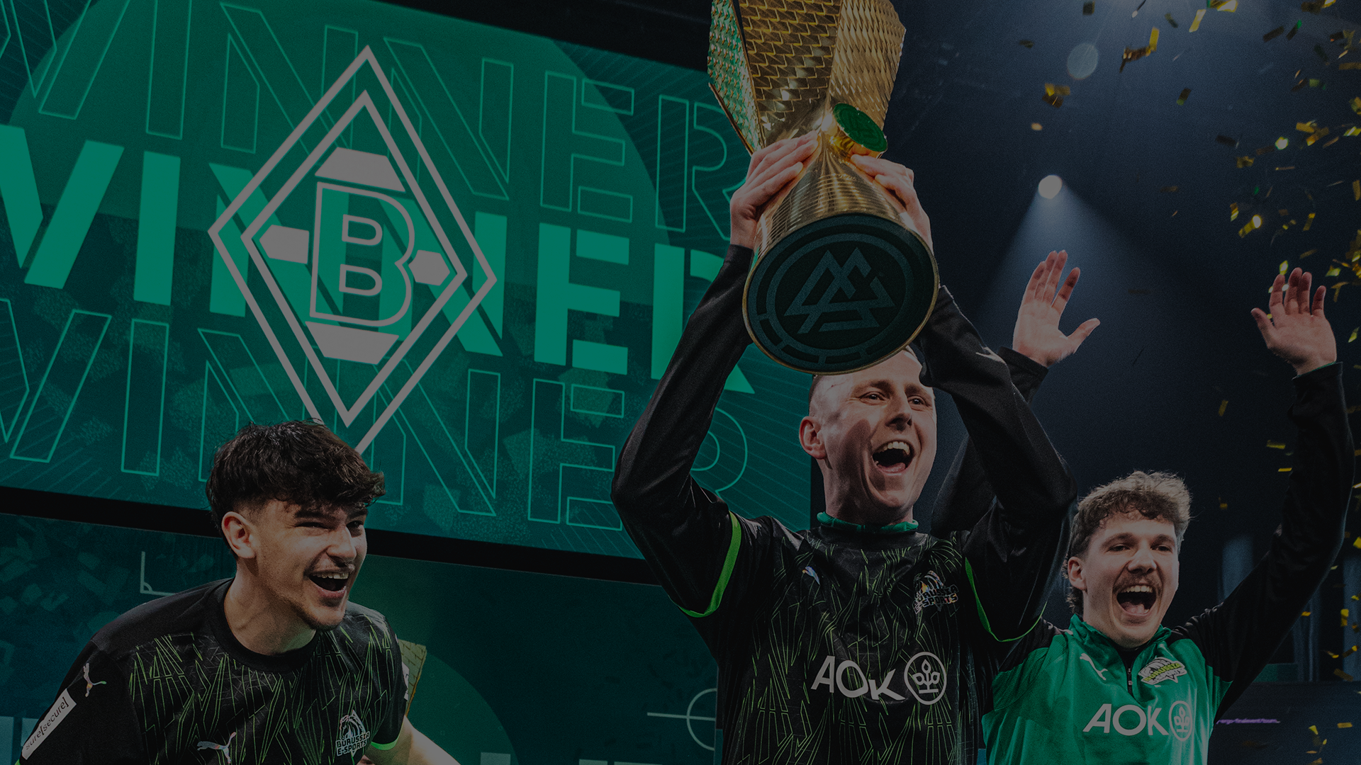 DFB-ePokal Banner